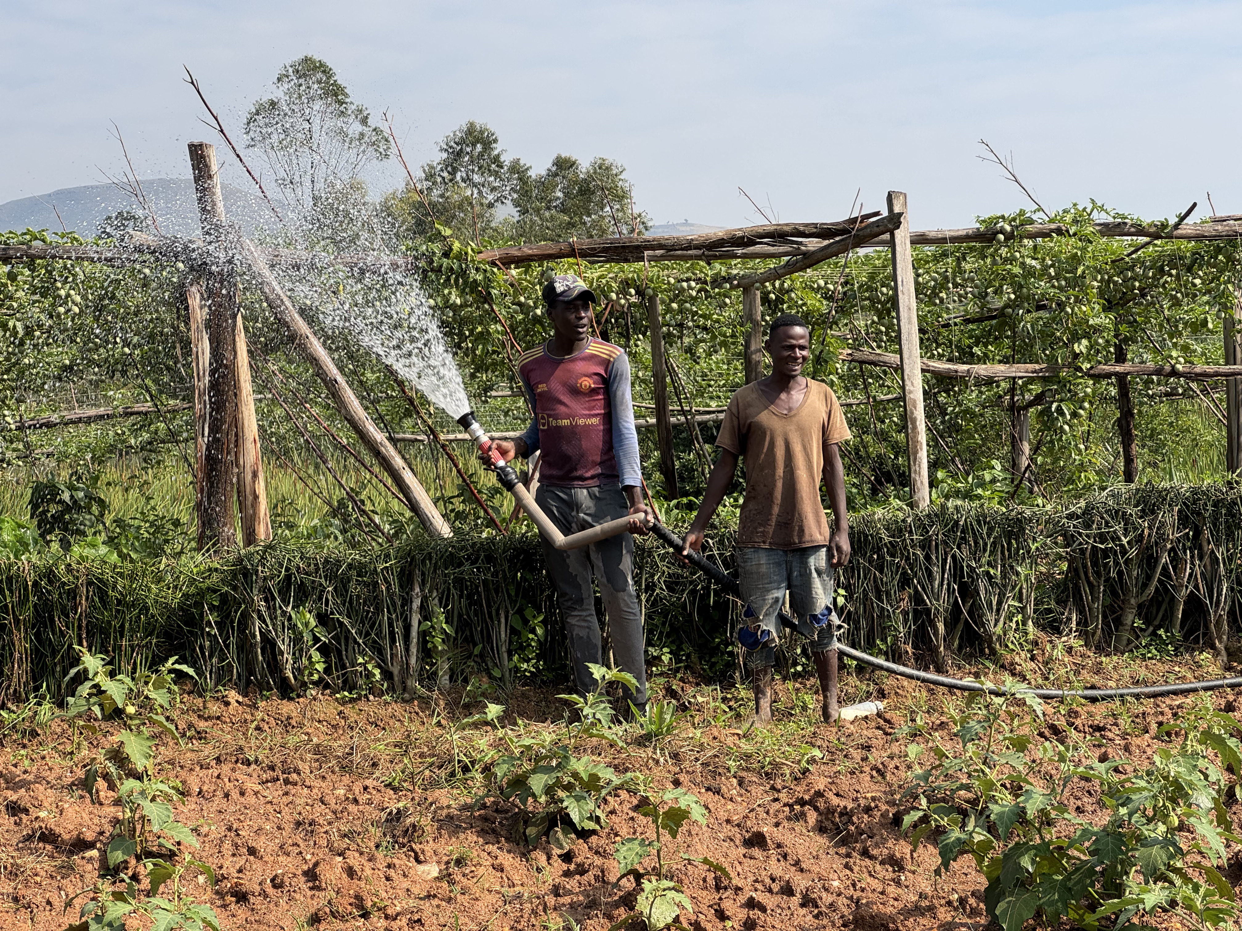 Solar irrigation project
